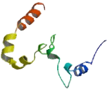 LMBR1 Domain Containing Protein 1 (LMBRD1)