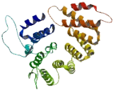 LON Peptidase N-Terminal Domain And Ring Finger Protein 2 (LONRF2)