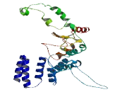 LON Peptidase N-Terminal Domain And Ring Finger Protein 3 (LONRF3)