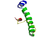 LYR Motif Containing Protein 4 (LYRM4)