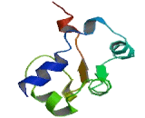 La Ribonucleoprotein Domain Family, Member 1 (LARP1)