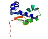 La Ribonucleoprotein Domain Family, Member 2 (LARP2)