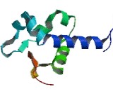 La Ribonucleoprotein Domain Family, Member 4 (LARP4)