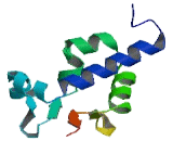 La Ribonucleoprotein Domain Family, Member 5 (LARP5)