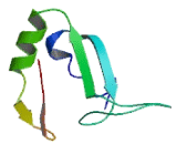 La Ribonucleoprotein Domain Family, Member 6 (LARP6)