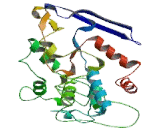 Lactamase Beta (LACTb)