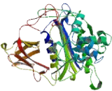 Lactamase Beta Like Protein 1 (LACTbL1)