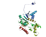 Lactate Dehydrogenase A Like Protein 6A (LDHAL6A)