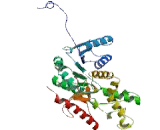 Lactate Dehydrogenase B (LDHB)