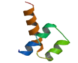 Ladybird Homeobox Protein 1 (LBX1)