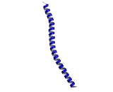 Lamin B1 (LMNB1)