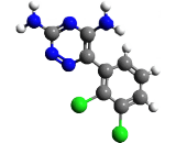 Lamotrigine (LMT)