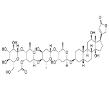 Lanatoside C (LC)