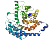 Lantibiotic Synthetase Component C Like Protein 1 (LANCL1)