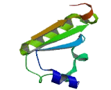 Large Subunit GTPase 1 Homolog (LSG1)