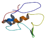 Late Cornified Envelope Protein 3D (LCE3D)