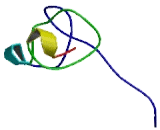 Late Cornified Envelope Protein 5A (LCE5A)