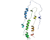 Latent Membrane Protein 1 (LMP1)