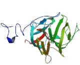 Lck Interacting Transmembrane Adaptor 1 (LIME1)