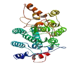 Lebercilin 5 Like Protein (LCA5L)