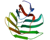 Lectin, Galactoside-Binding Soluble 16 (LGALS16)