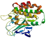 Lemur Tyrosine Kinase 2 (LMTK2)