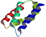 Lens Epithelium Derived Growth Factor (LEDGF)