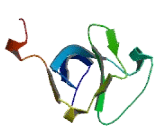 Lens Intrinsic Membrane Protein 2 (LIM2)