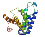 Leprecan Like Protein 4 (LEPREL4)