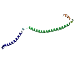 Leucine, Glutamate And Lysine Rich 1 (LEKR1)