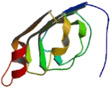 Leucine Rich, Glioma Inactivated 1 (LGI1)