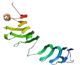 Leucine Rich Repeat And Calponin Homology Domain Containing Protein 1 (LRCH1)