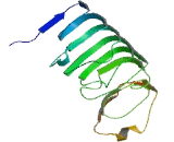 Leucine Rich Repeat And Calponin Homology Domain Containing Protein 3 (LRCH3)