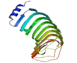 Leucine Rich Repeat And Calponin Homology Domain Containing Protein 4 (LRCH4)