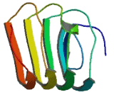 Leucine Rich Repeat And Coiled Coil Domain Containing Protein 1 (LRRCC1)