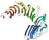 Leucine Rich Repeat And Death Domain Containing Protein 1 (LRRD1)