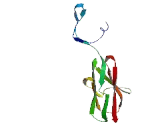 Leucine Rich Repeat And Fibronectin Type III Domain Containing Protein 1 (LRFN1)