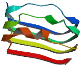 Leucine Rich Repeat And Fibronectin Type III Domain Containing Protein 4 (LRFN4)