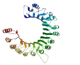 Leucine Rich Repeat Containing Protein 14B (LRRC14B)