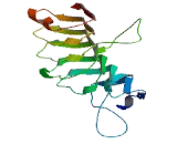 Leucine Rich Repeat Containing Protein 15 (LRRC15)