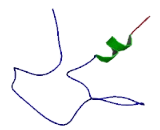 Leucine Rich Repeat Containing Protein 16B (LRRC16B)