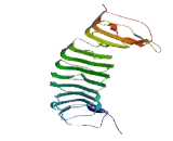 Leucine Rich Repeat Containing Protein 18 (LRRC18)