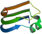 Leucine Rich Repeat Containing Protein 25 (LRRC25)