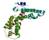 Leucine Rich Repeat Containing Protein 27 (LRRC27)