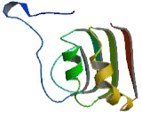 Leucine Rich Repeat Containing Protein 29 (LRRC29)