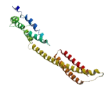 Leucine Rich Repeat Containing Protein 37A3 (LRRC37A3)