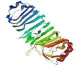 Leucine Rich Repeat Containing Protein 37B (LRRC37B)