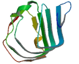 Leucine Rich Repeat Containing Protein 3B (LRRC3B)