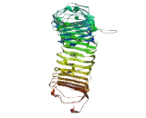 Leucine Rich Repeat Containing Protein 40 (LRRC40)