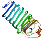 Leucine Rich Repeat Containing Protein 52 (LRRC52)